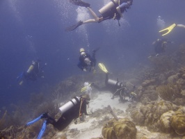 IMG 3743 Divers